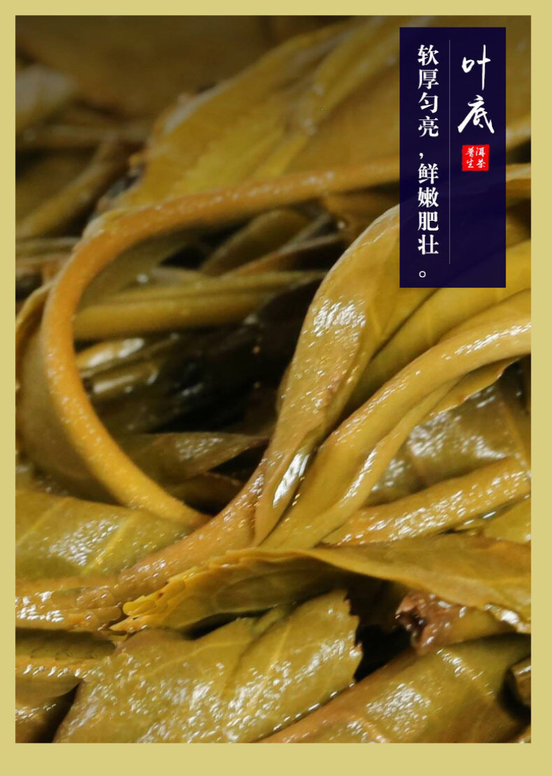 【批发走量支持一件代发】普洱茶生茶饼357g