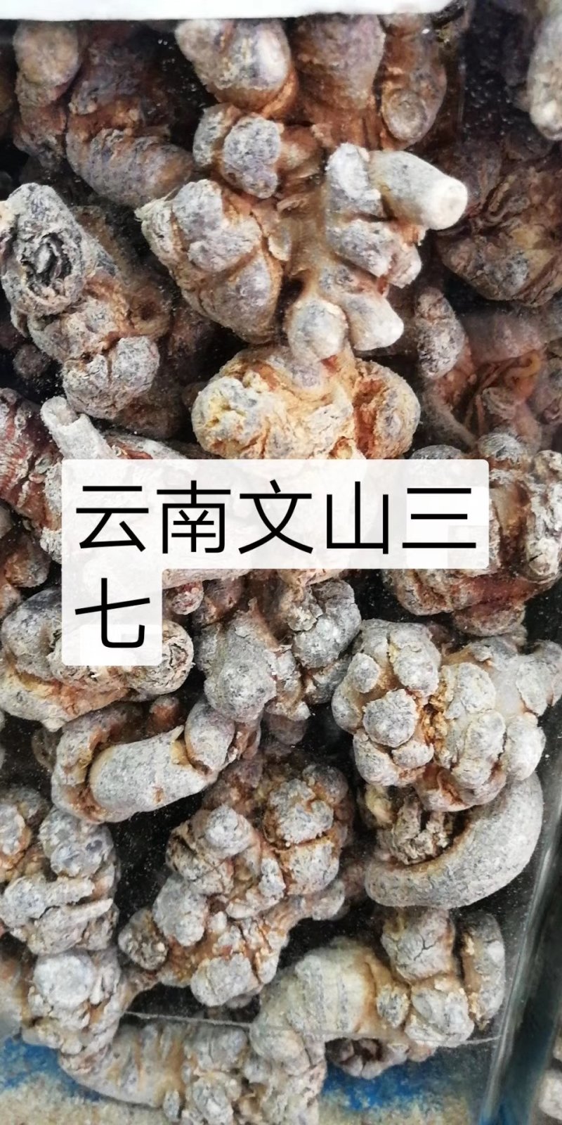 三七粉纯三七粉，20头25头30头60头100元一斤