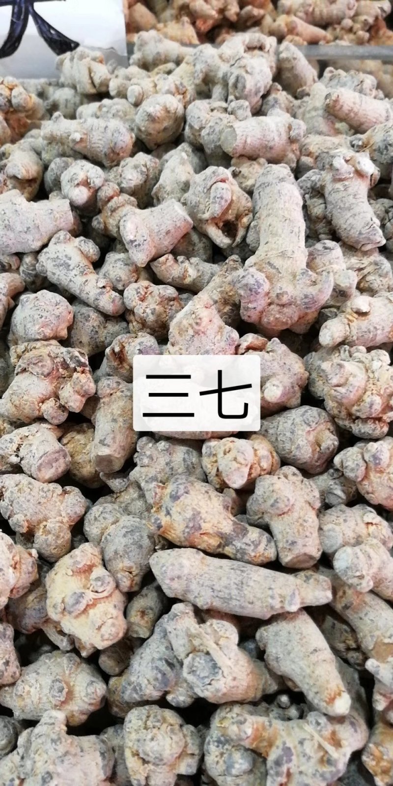 三七粉纯三七粉，20头25头30头60头100元一斤