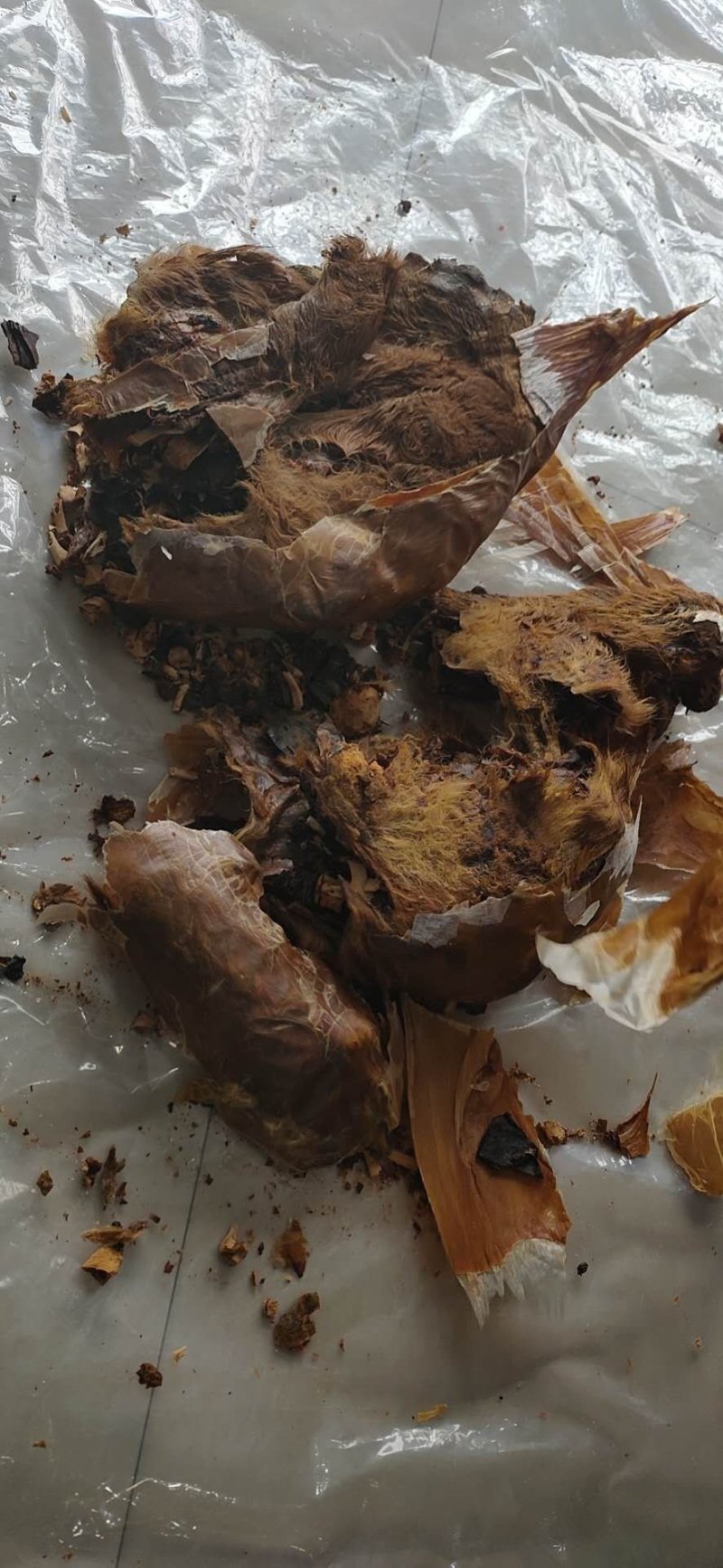 自营鹿场干鹿胎鹿胎盘熬鹿胎膏滋补膏原料整个打粉包邮