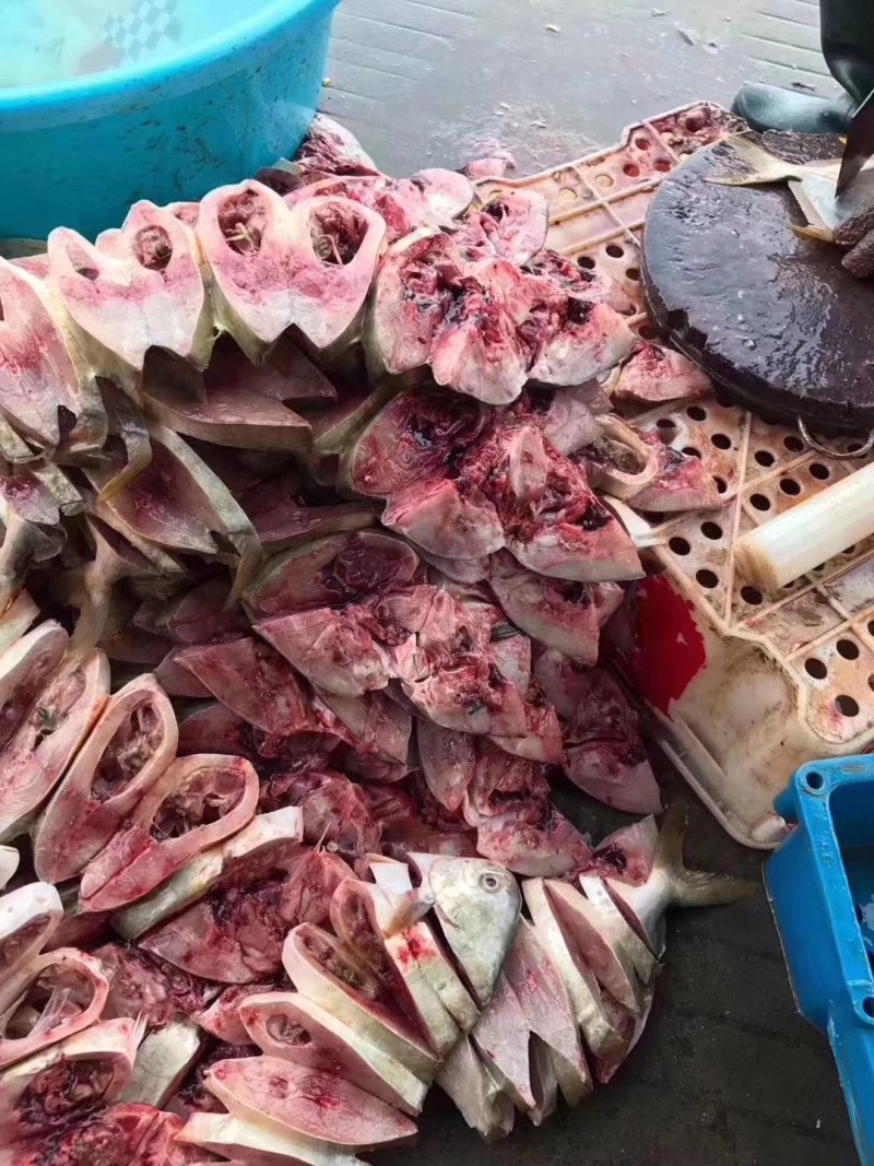 金鲳鱼鱼干