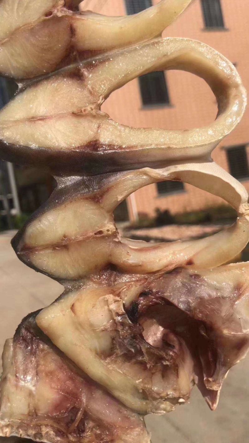 金鲳鱼鱼干