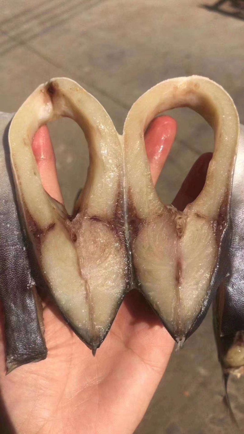 金鲳鱼鱼干