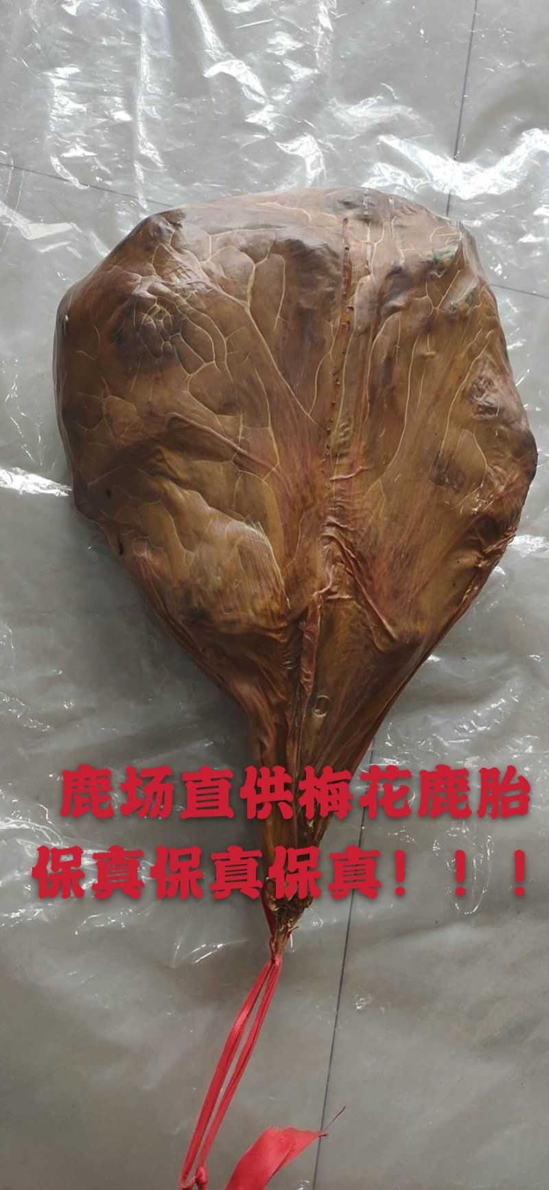 自营鹿场干鹿胎鹿胎盘熬鹿胎膏滋补膏原料整个打粉包邮