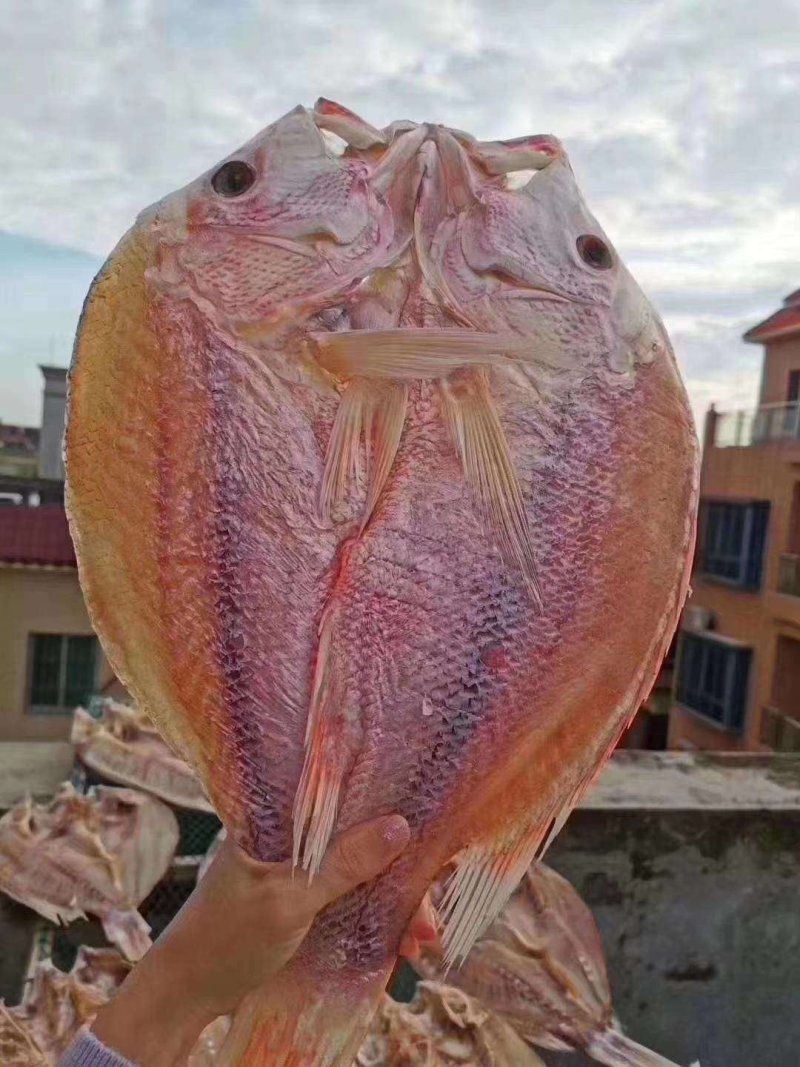 红鱼干