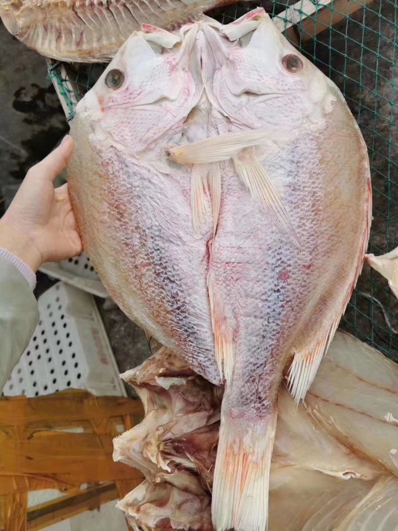 红鱼干