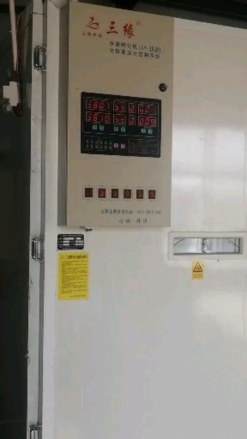 三花鹅蛋狮头鹅蛋四季鹅产全年有货量大从优农村养殖营养价高