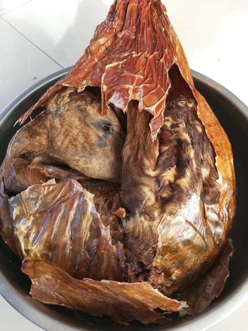 自营鹿场干鹿胎鹿胎盘熬鹿胎膏滋补膏原料整个打粉包邮