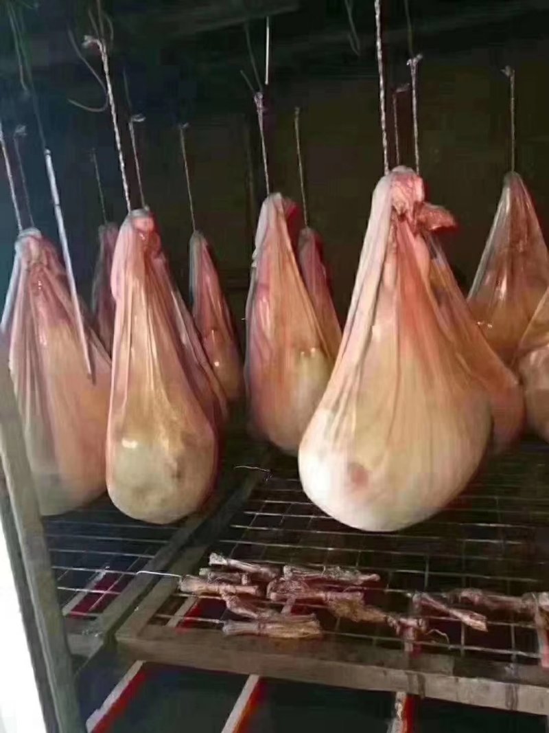 自营鹿场干鹿胎鹿胎盘熬鹿胎膏滋补膏原料整个打粉包邮