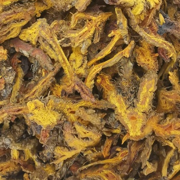 黄连鸡爪黄连实物拍摄批发各种中药材