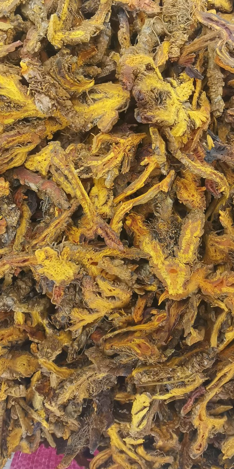 黄连鸡爪黄连实物拍摄批发各种中药材