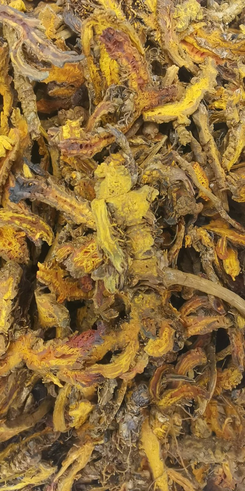 黄连鸡爪黄连实物拍摄批发各种中药材