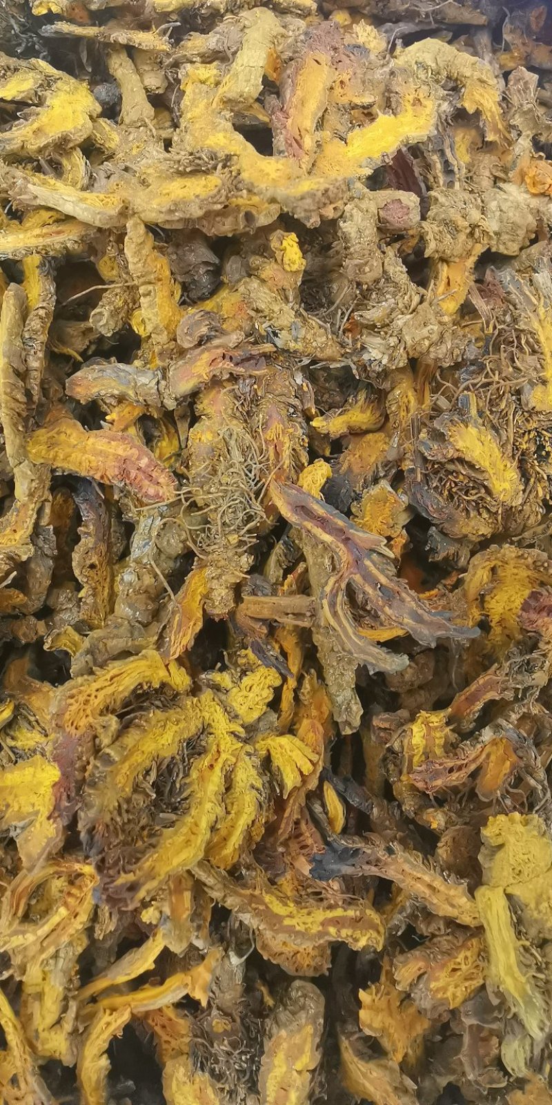 黄连鸡爪黄连实物拍摄批发各种中药材