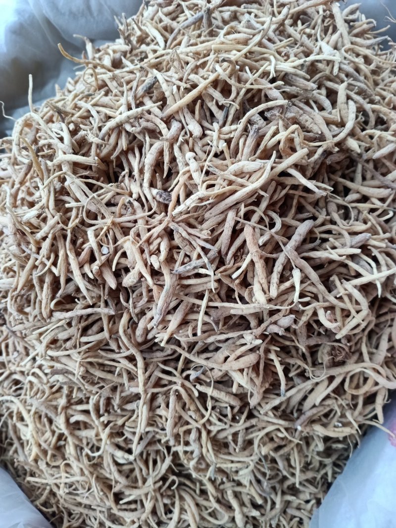 太子参！产地直销！含量高规格齐全！一手货源，大货批发！