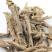 三加皮三加皮中草药苦刺根狼牙刺白刺仔可打粉
