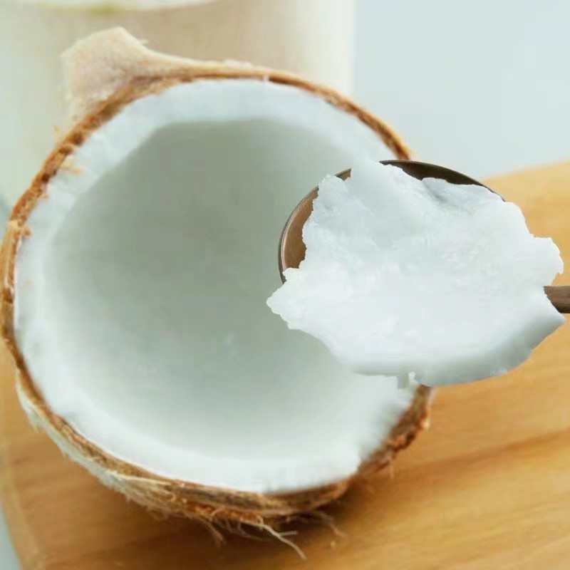 青椰子树苗海南青椰子树苗带土带叶包邮