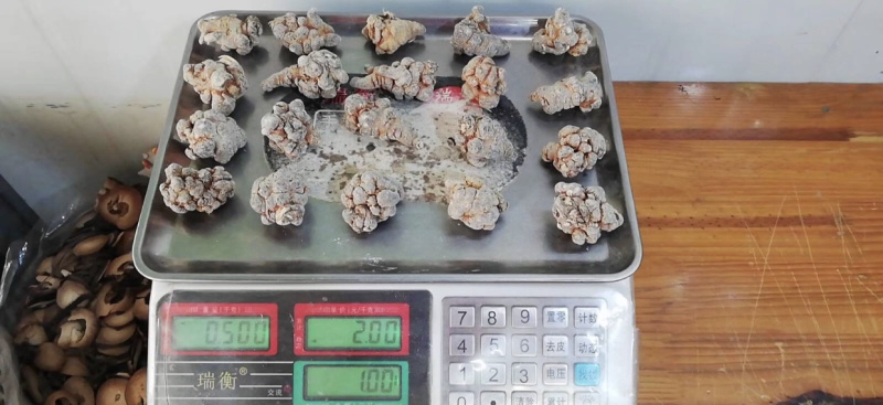 云南文山红三七产地直销选货