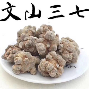 云南文山红三七产地直销选货