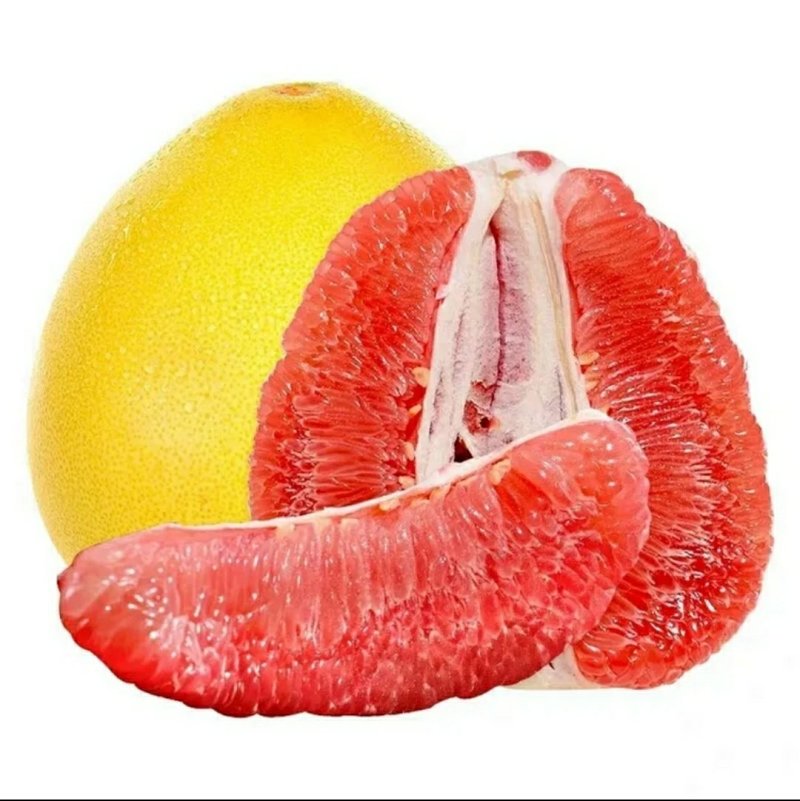 三红抽子苗，蓝宝石，各个品种全