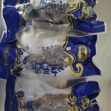大连产地即食海参，产地直达，线上交易
