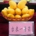 优良品种南方水果芒果苗各种品种，