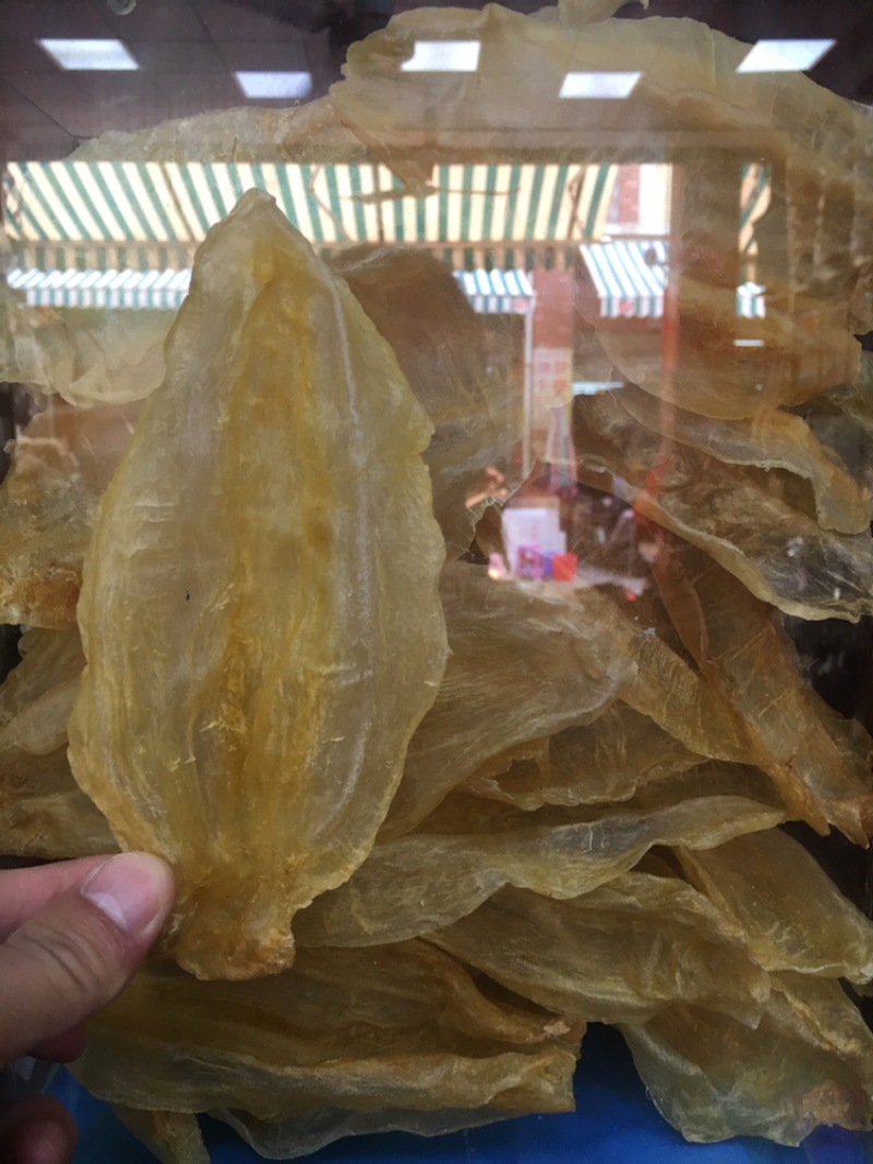 公肚鱼胶(各规格有货)