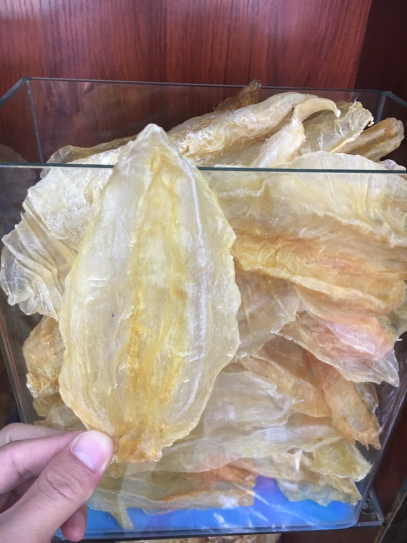 公肚鱼胶(各规格有货)