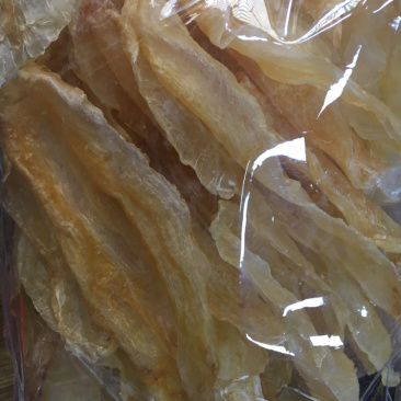 公肚鱼胶(各规格有货)