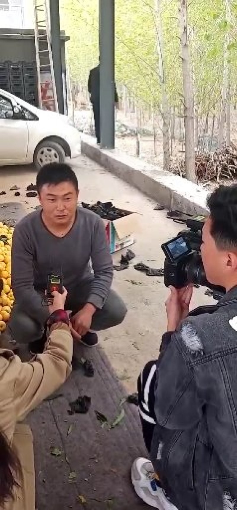 黄金油桃支持视频看货产地直发，支持线上安全保障交易