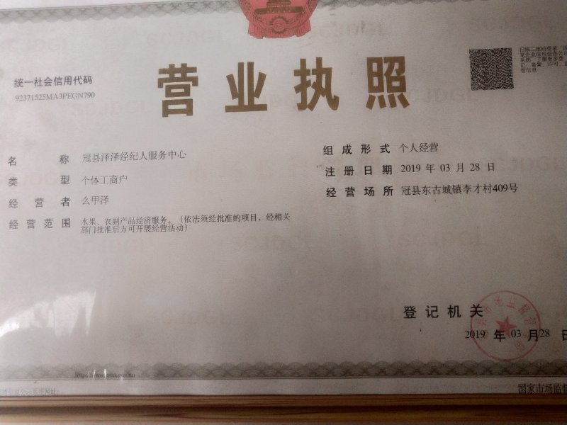 油桃大棚油桃山东聊城