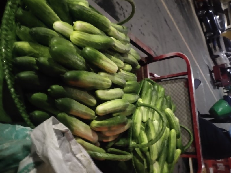 黄瓜大量上市中，货好量大新鲜无苦味条形好