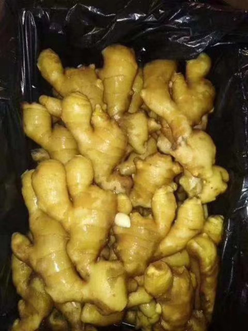山东黄姜产地一手货源，全国发货，质量保证，