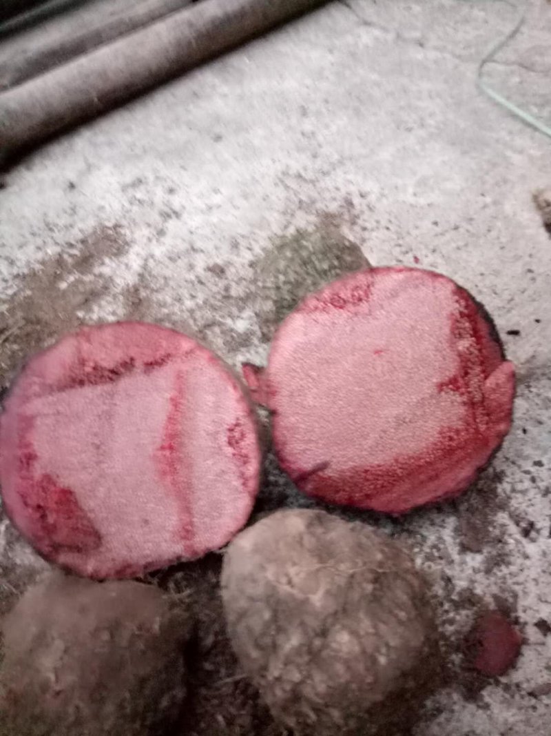 薯莨野生鲜货