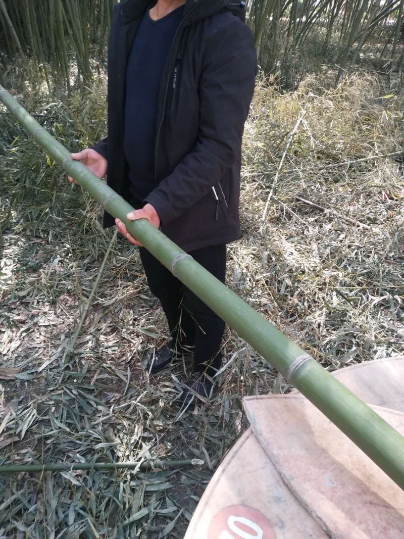 竹片
