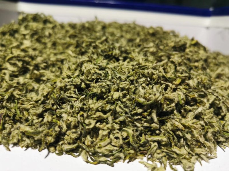 2020新茶黄芽高香碧螺春