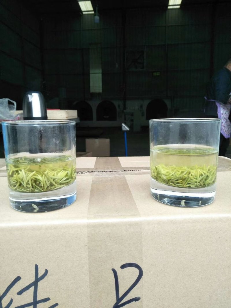 2020新茶黄芽高香碧螺春