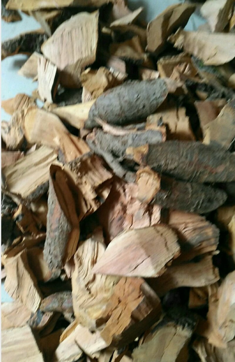 正宗野酸枣树根酸枣根枣树根野枣树根无硫干品