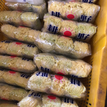 精品娃娃菜，精品大娃。