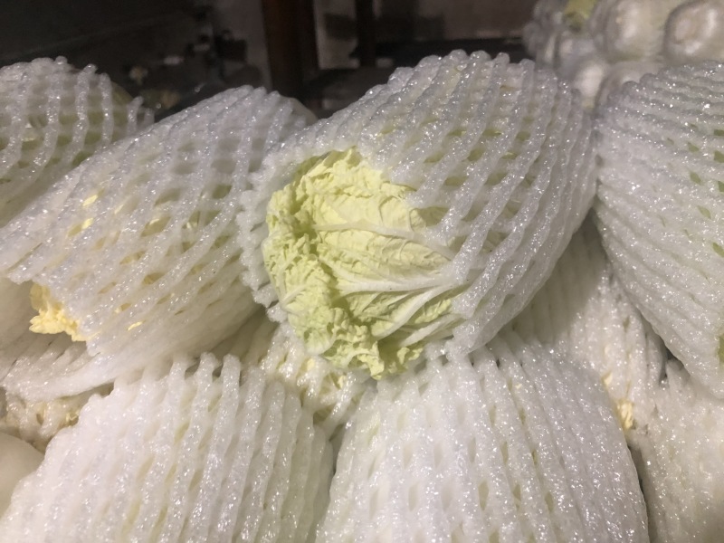 精品娃娃菜，精品大娃。