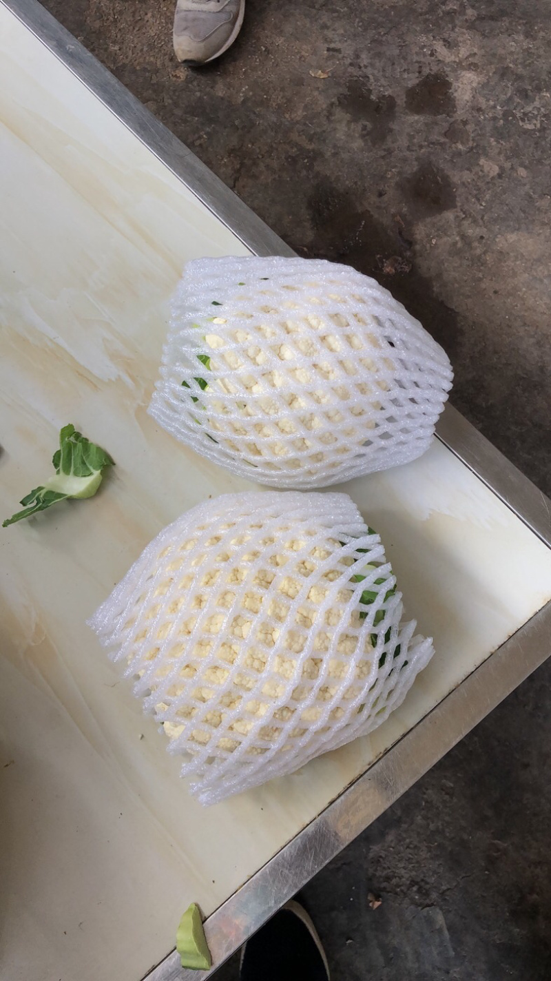 精品百花，高原夏菜，质量优质