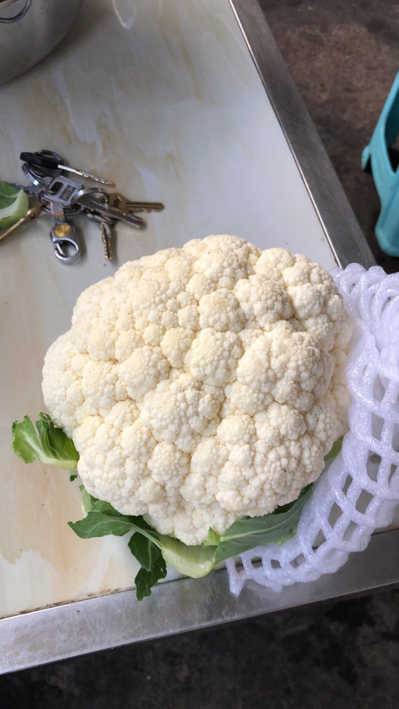 精品百花，高原夏菜，质量优质