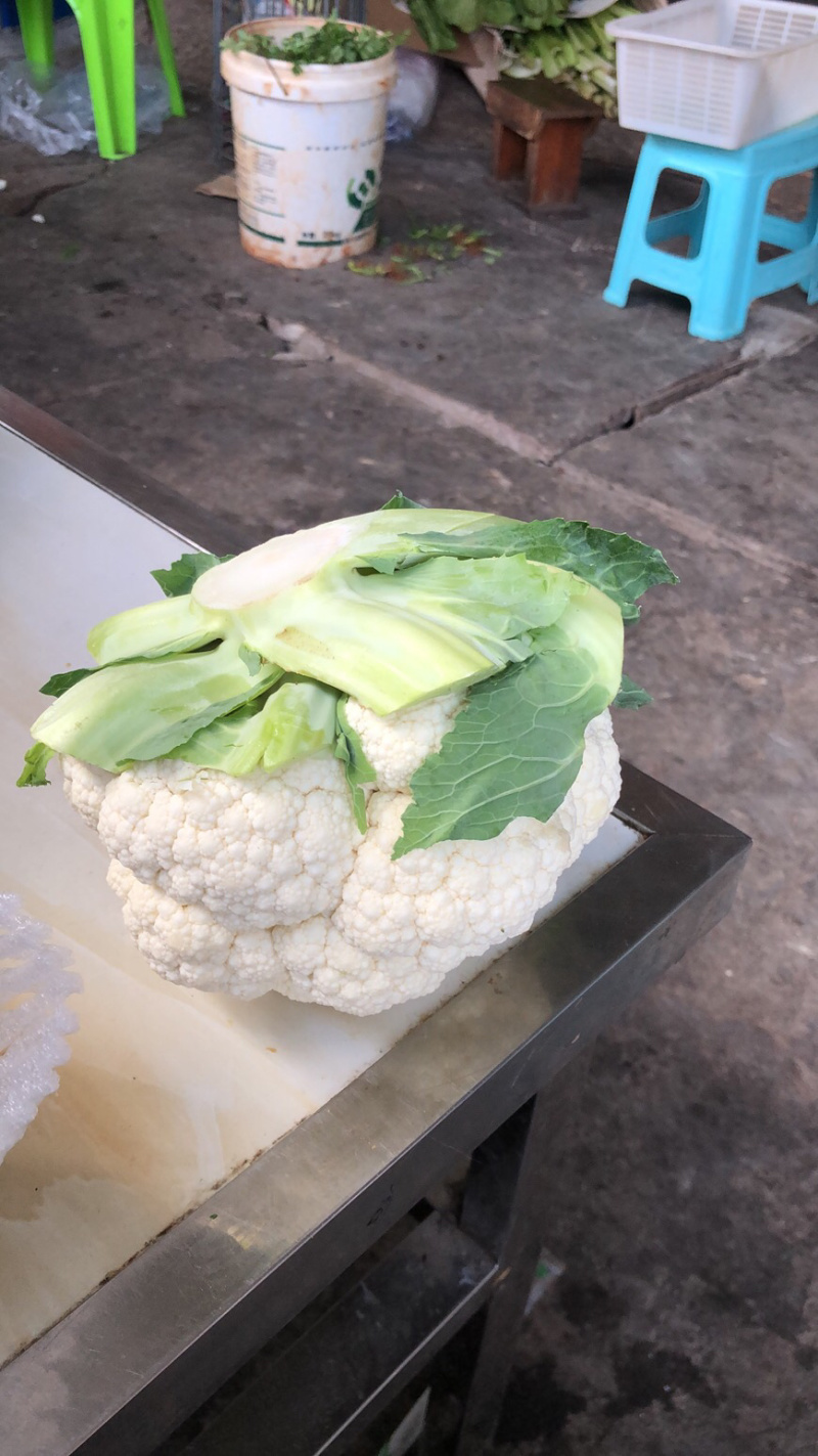 精品百花，高原夏菜，质量优质