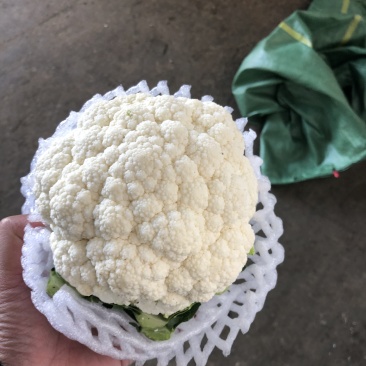 精品百花，高原夏菜，质量优质