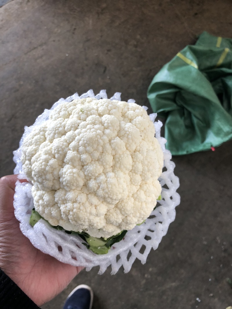 精品百花，高原夏菜，质量优质