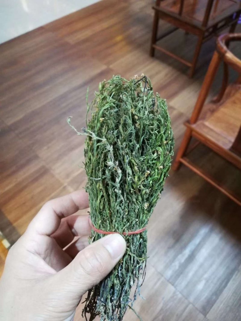 独角金【产地老挝】精品靓货