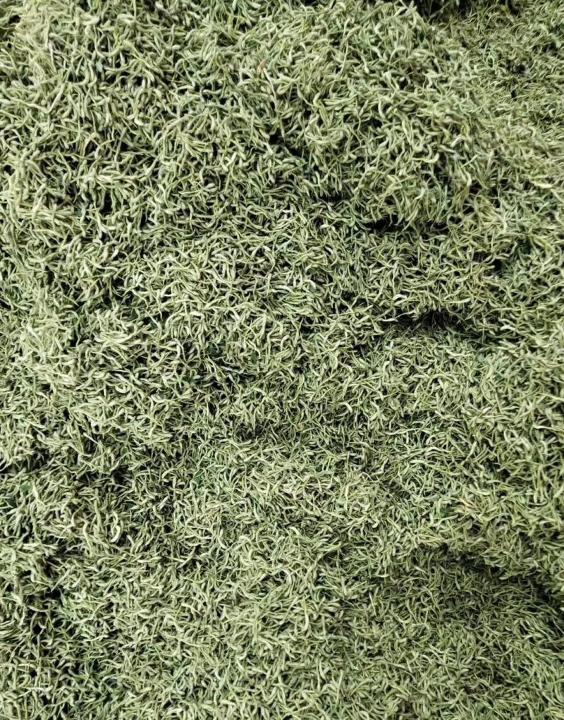 金银花头茬新货金银花山东河南金银花量大批发