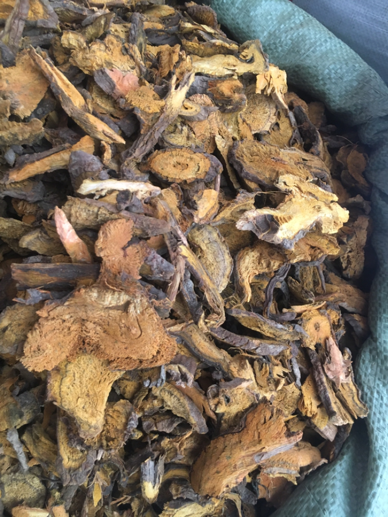 虎杖虎杖中药材批发量大包邮