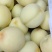白桃蒙阴蜜桃支持视频看货产地直发，对接电商平台支持一件代
