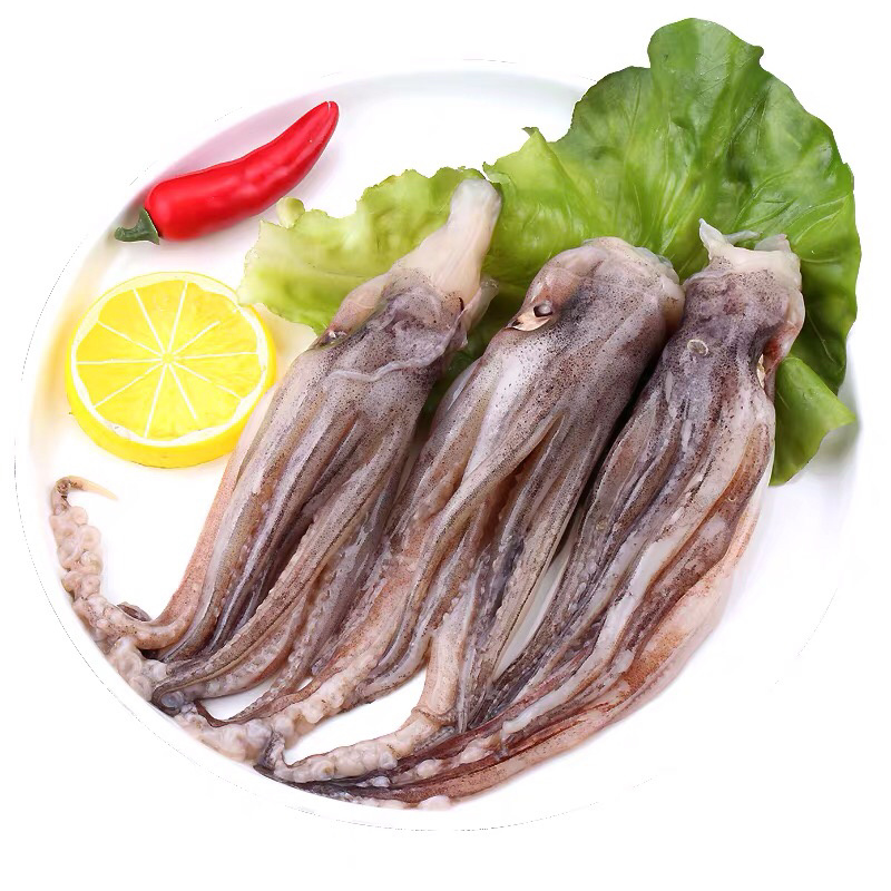 《有好货》鱿鱼头