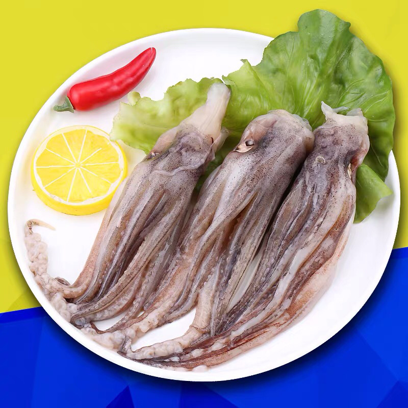 《有好货》鱿鱼头